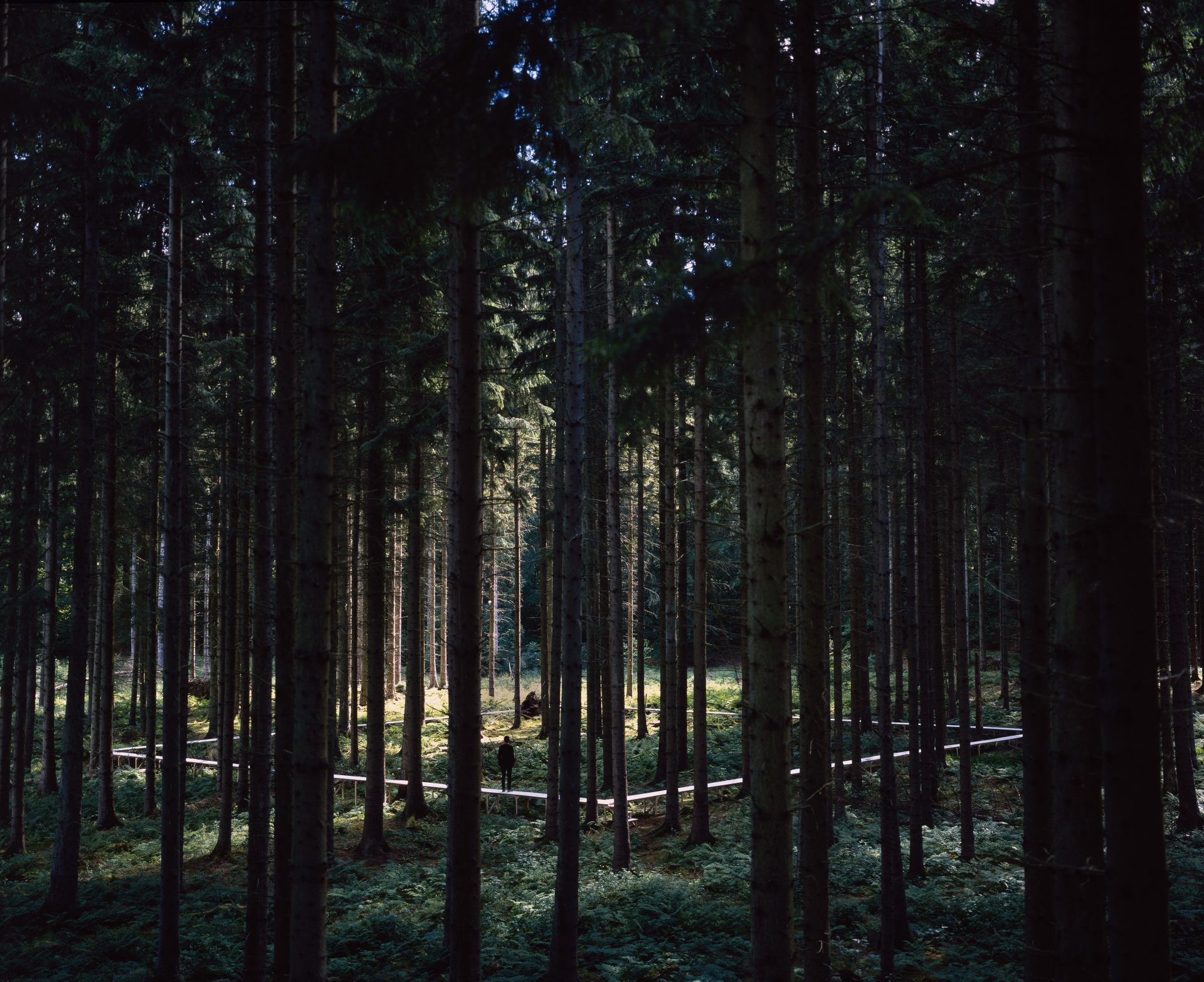 CHART 2019 /   Kunsthal Charlottenborg / 30.8. – 1.9.2019