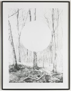 AXEL_ANTAS_FOREST_AND_ELLIPSE_OBSCURED_2016_FRAMED