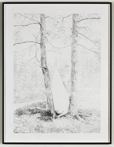 AXEL_ANTAS_FOREST_AND_TRIANGLE_2016_Framed