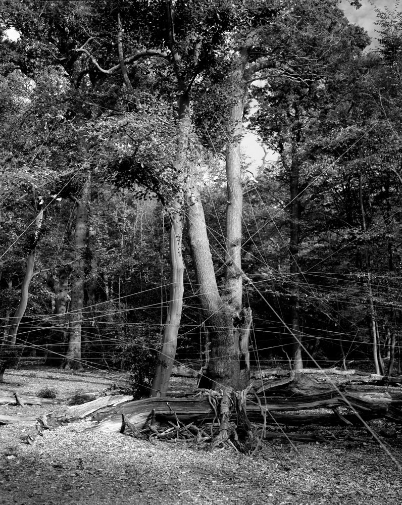 Obstructed Views / Geometry of Place – Hippolyte / Helsinki /  05.11.2010 – 28.11.2010. 