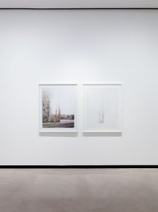 installation-view