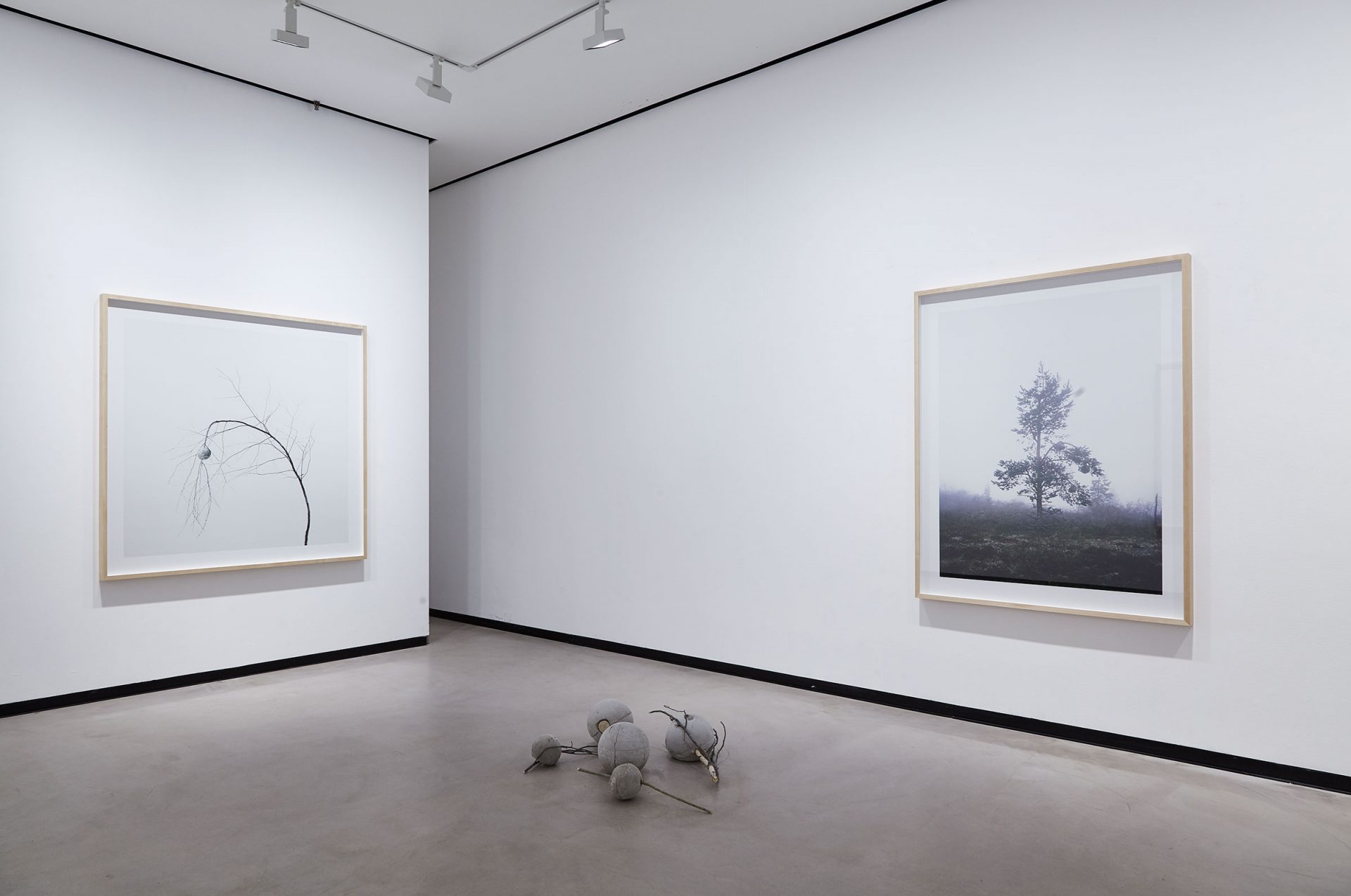 Uncanny Valley / 4.2.2017 – 26.2.2017