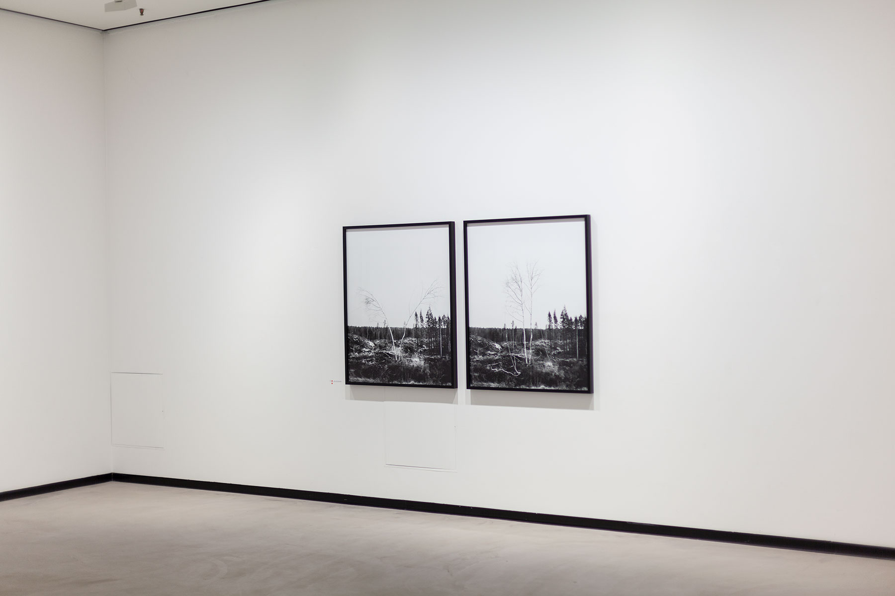 Natural High Frequency / Galleria Heino / 19.4.2014 – 18.5.2014